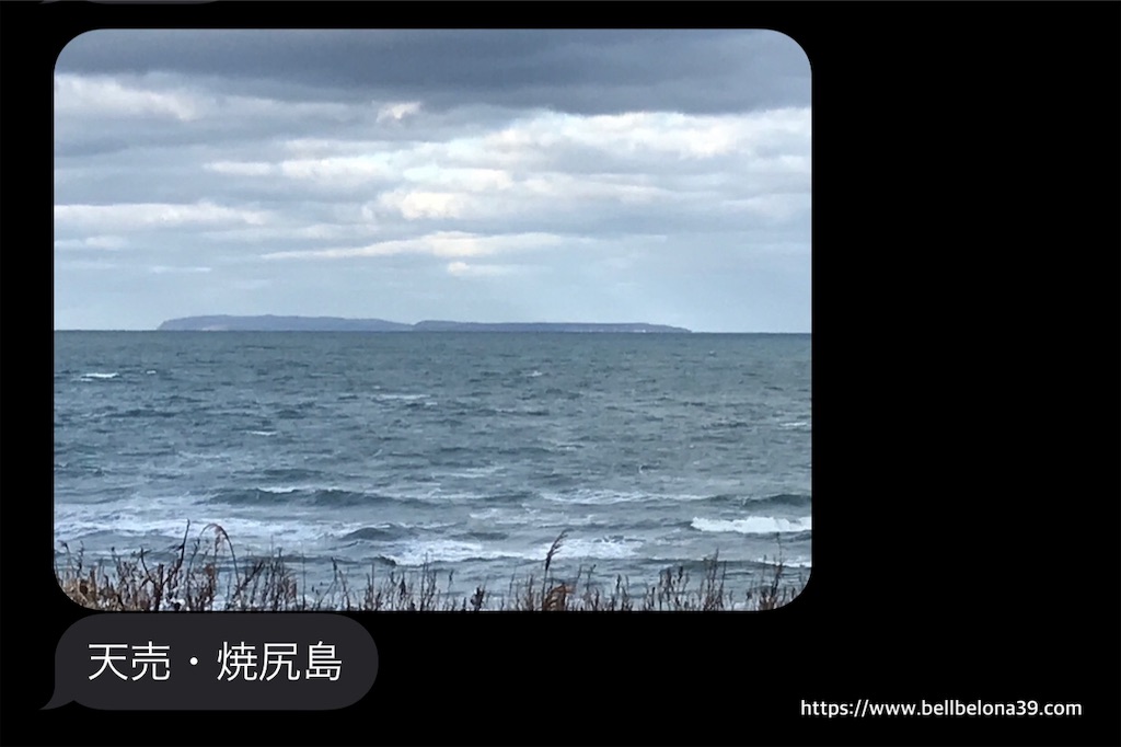 f:id:bellbelona39:20191103171324j:image