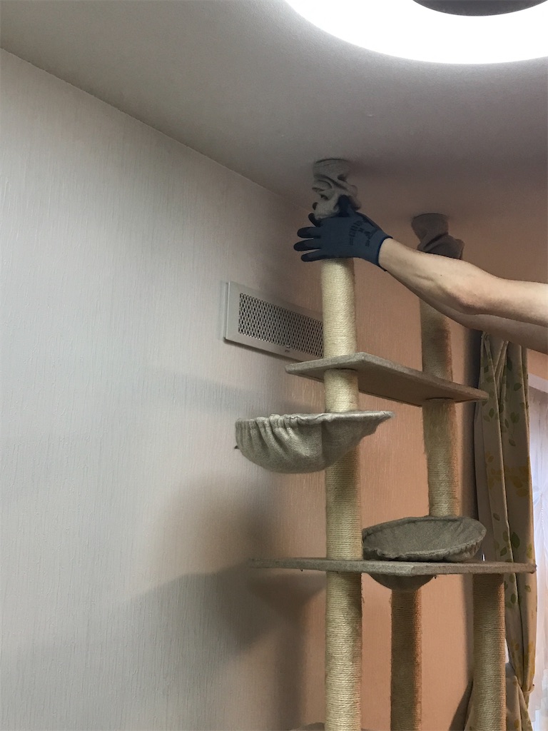 f:id:bellbelona39:20191231150342j:image f:id:bellbelona39:20191231150342j:image