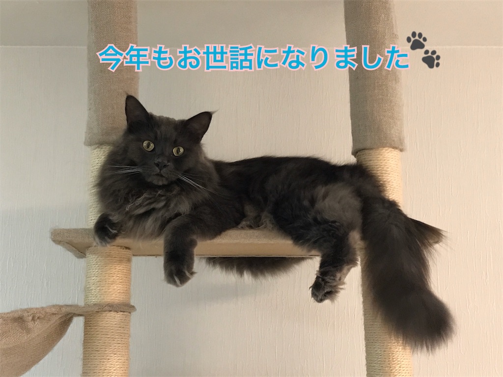 f:id:bellbelona39:20191231151839j:image f:id:bellbelona39:20191231151839j:image