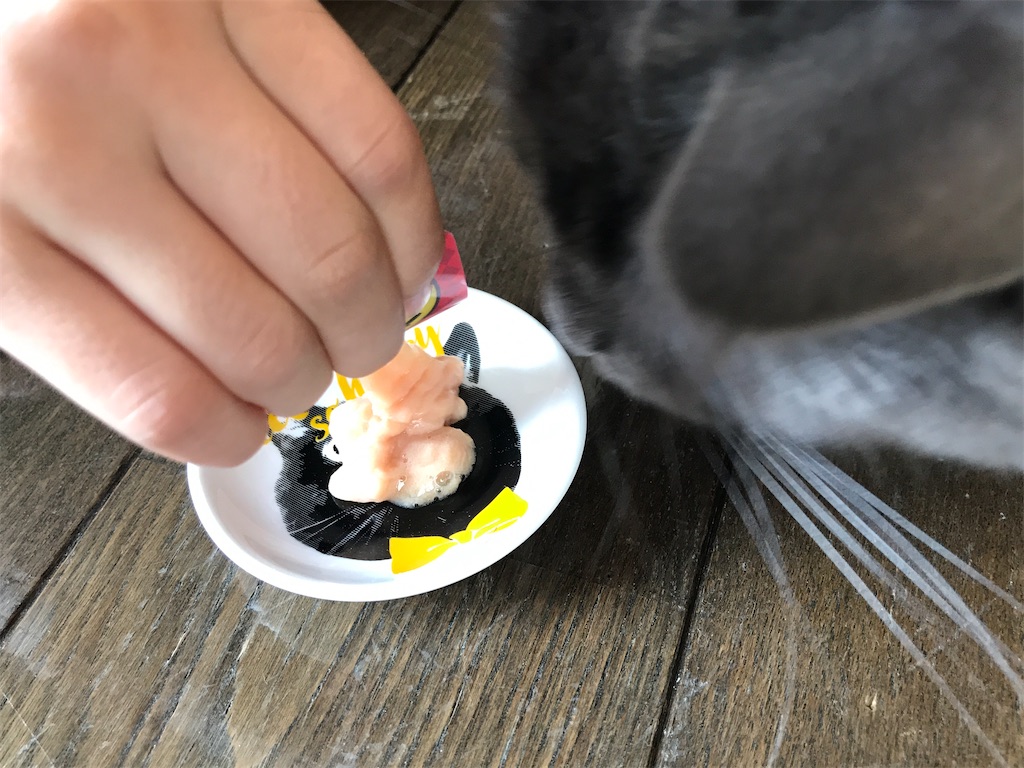 f:id:bellbelona39:20200103225618j:image f:id:bellbelona39:20200103225618j:image