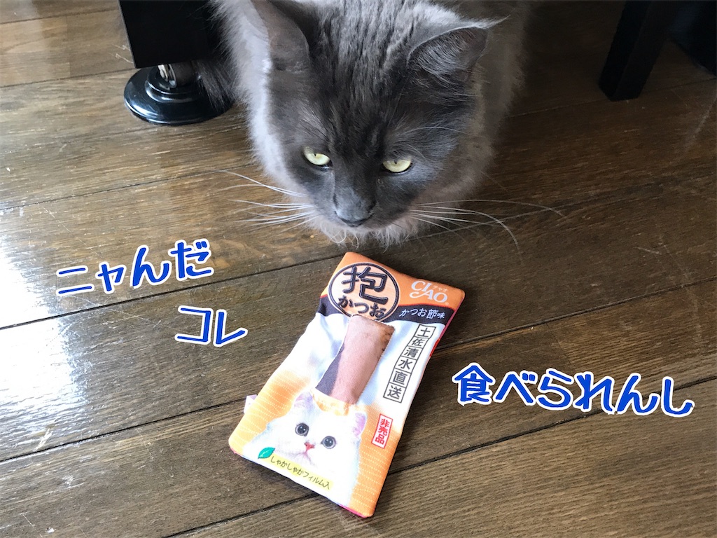 f:id:bellbelona39:20200103230310j:image f:id:bellbelona39:20200103230310j:image