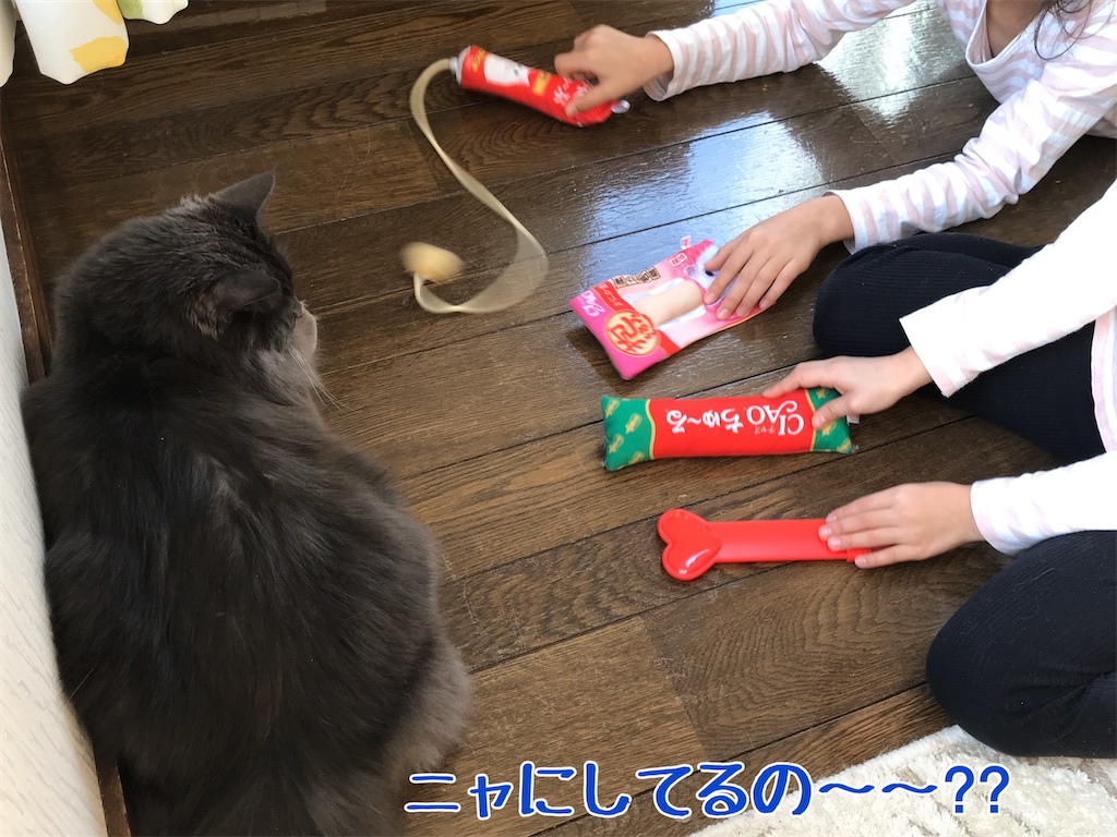 f:id:bellbelona39:20200103230921j:image f:id:bellbelona39:20200103230921j:image