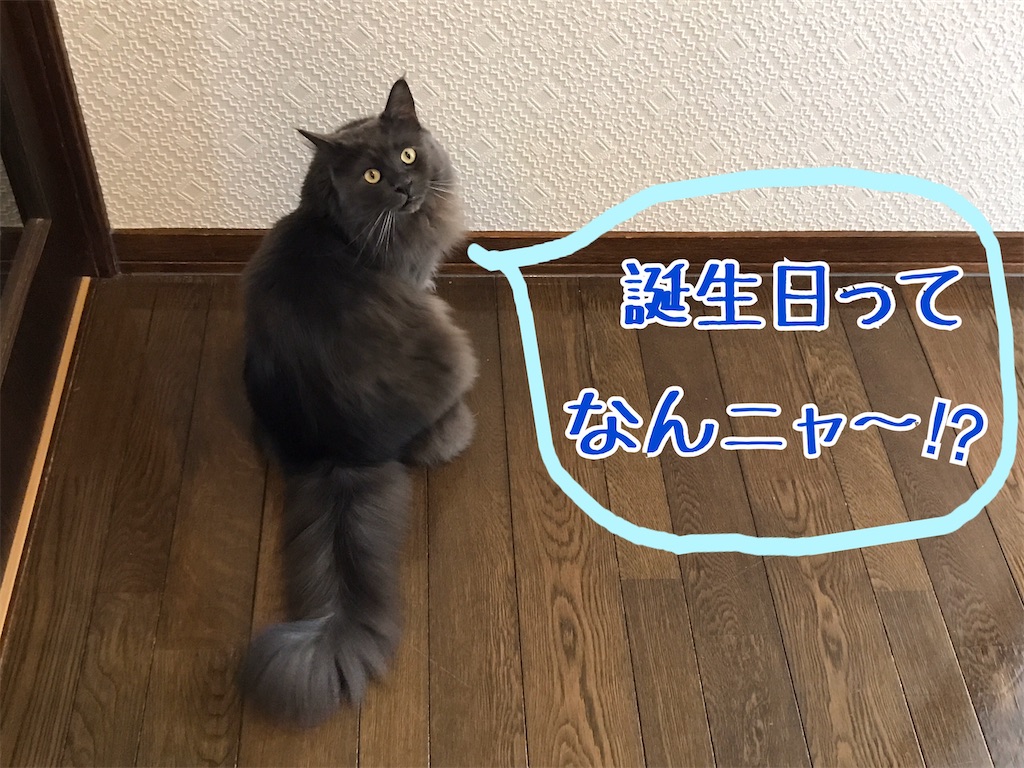 f:id:bellbelona39:20200119103746j:image f:id:bellbelona39:20200119103746j:image