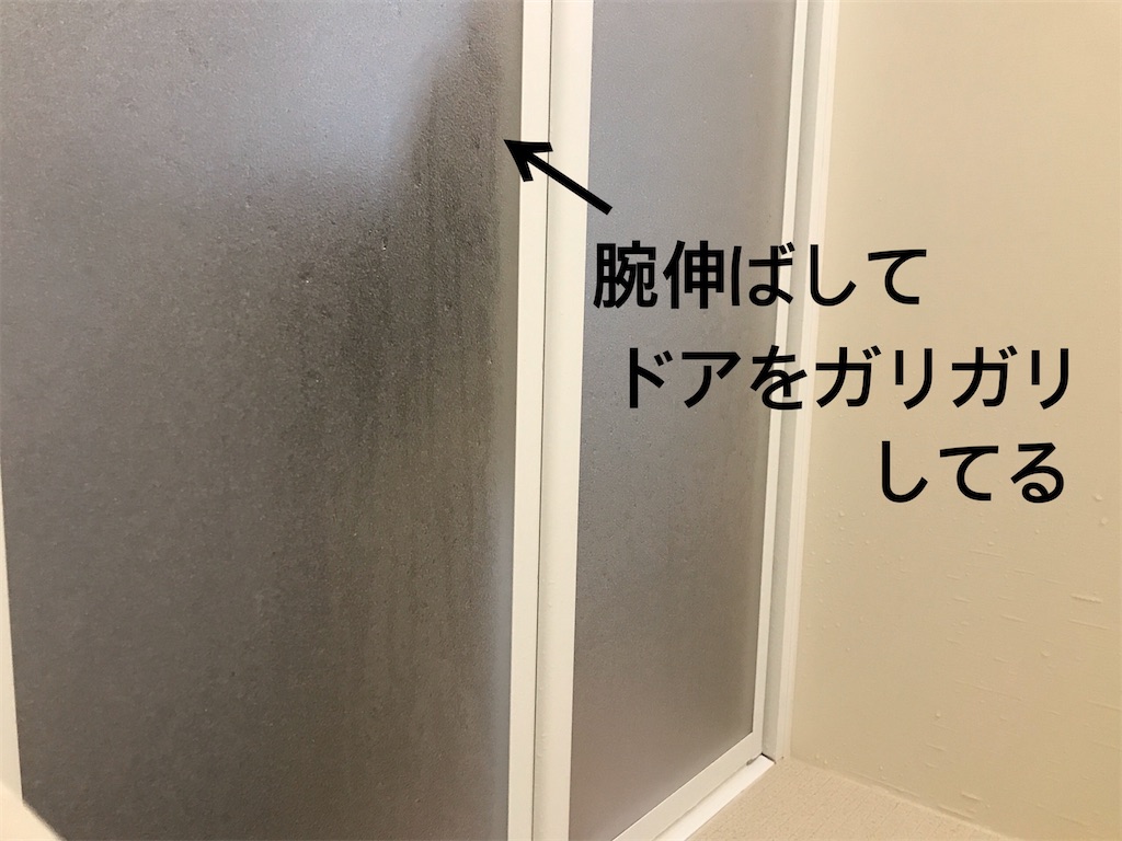 f:id:bellbelona39:20200224153523j:image f:id:bellbelona39:20200224153523j:image