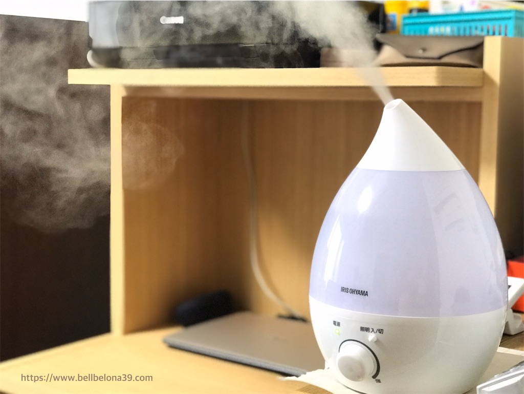 f:id:bellbelona39:20200228164006j:image