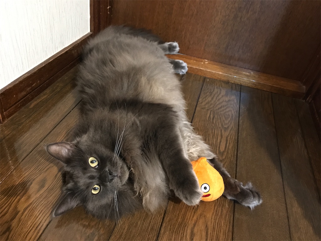 f:id:bellbelona39:20200511231556j:image