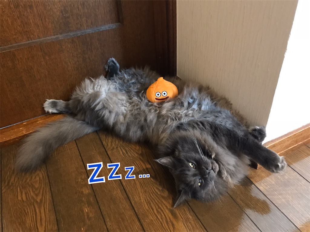 f:id:bellbelona39:20200511231835j:image