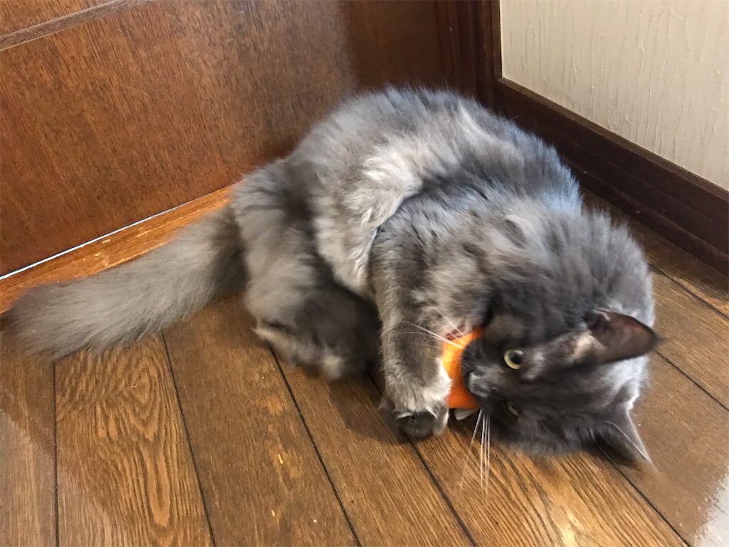 f:id:bellbelona39:20200511232321j:image