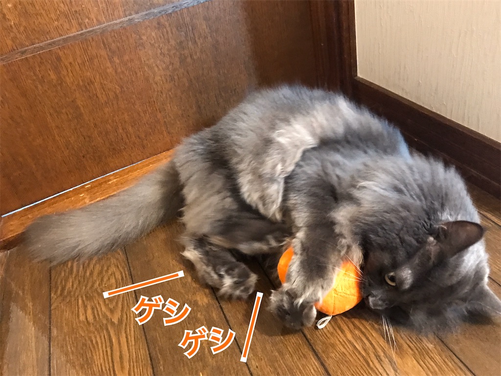 f:id:bellbelona39:20200511232630j:image