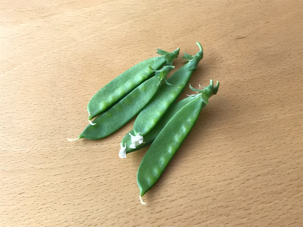 f:id:bellbelona39:20200718142005j:plain