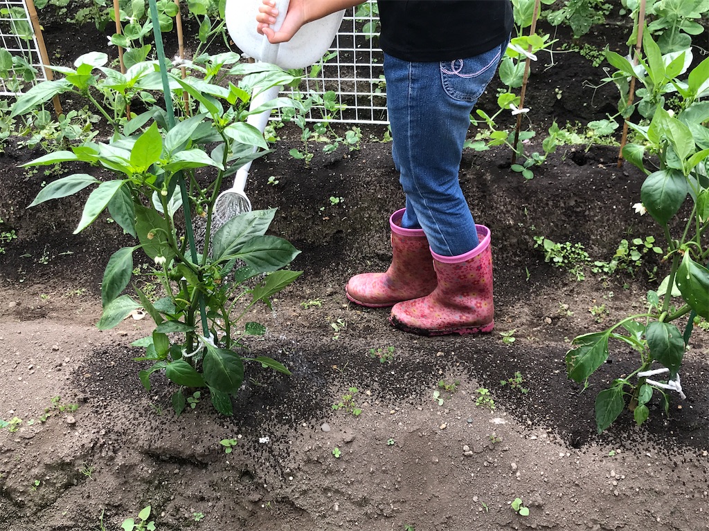 f:id:bellbelona39:20200718142022j:plain