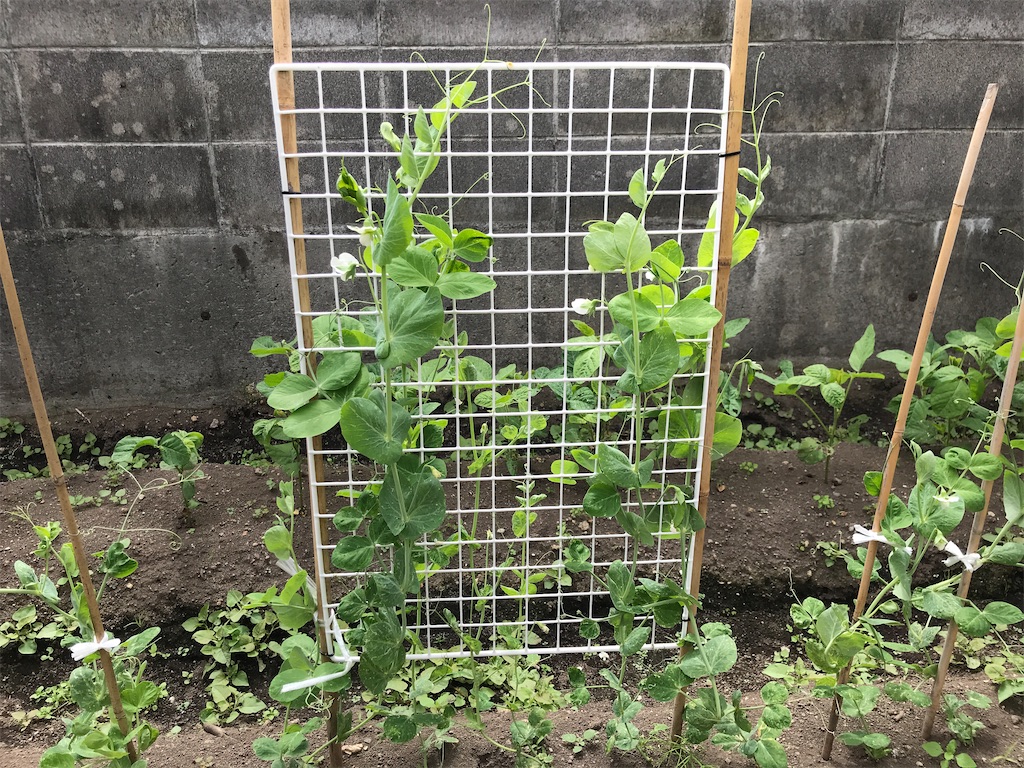 f:id:bellbelona39:20200718142034j:plain