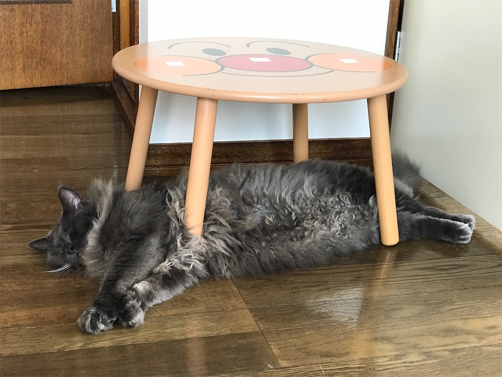 f:id:bellbelona39:20200818112928j:plain