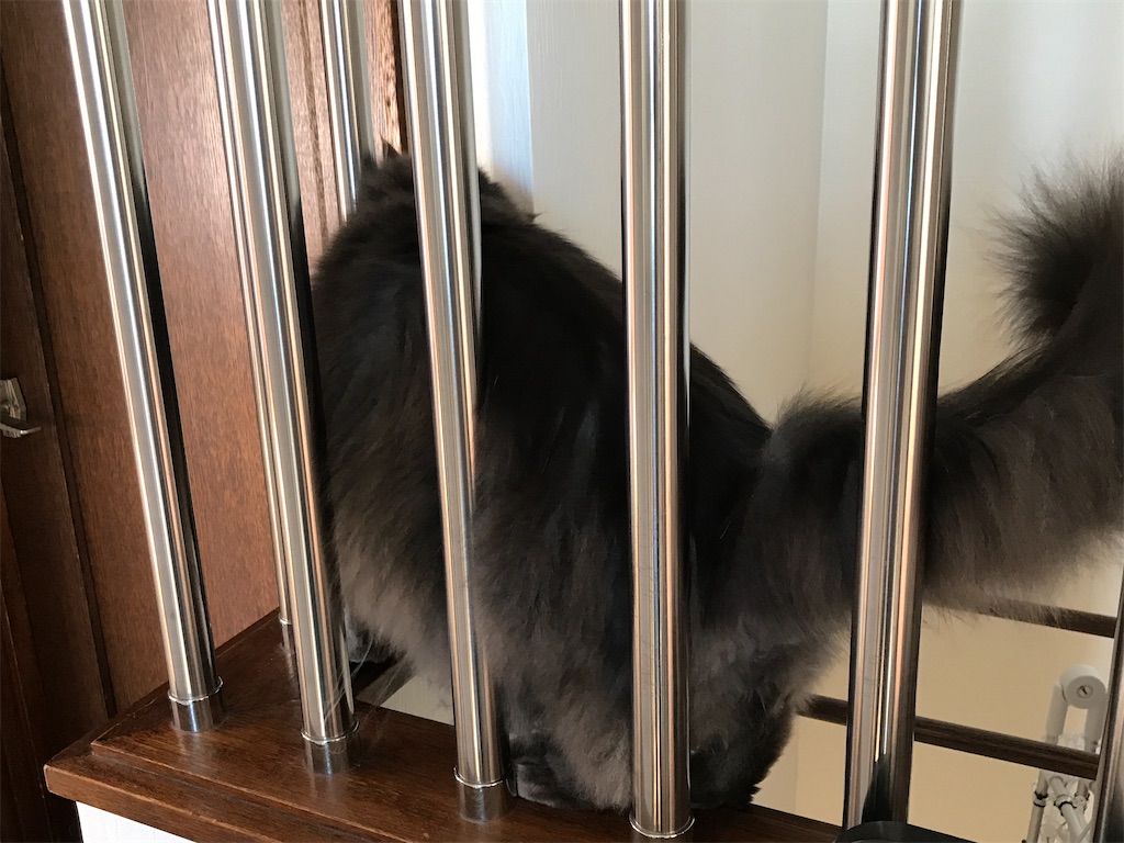 f:id:bellbelona39:20200818113457j:plain