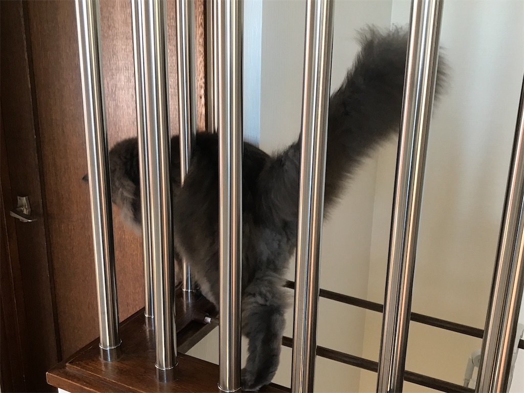 f:id:bellbelona39:20200818113520j:plain