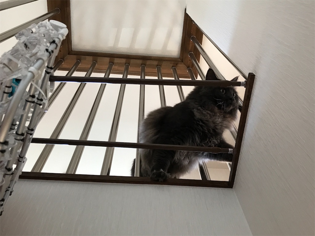 f:id:bellbelona39:20200818113632j:plain