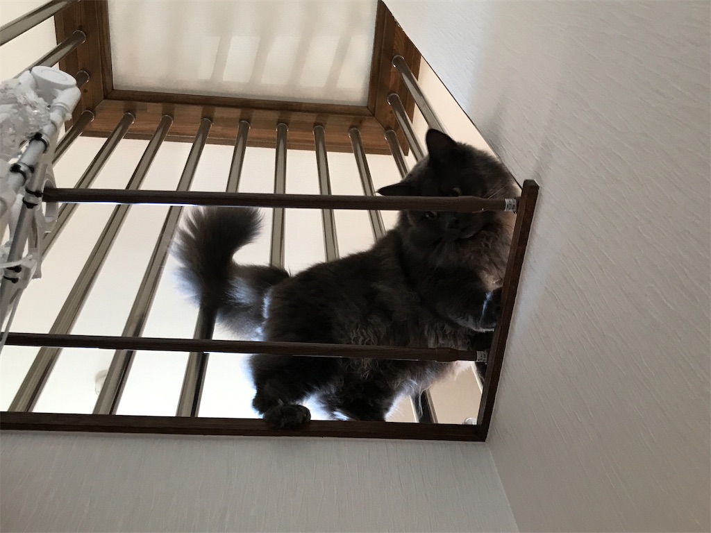 f:id:bellbelona39:20200818113717j:plain