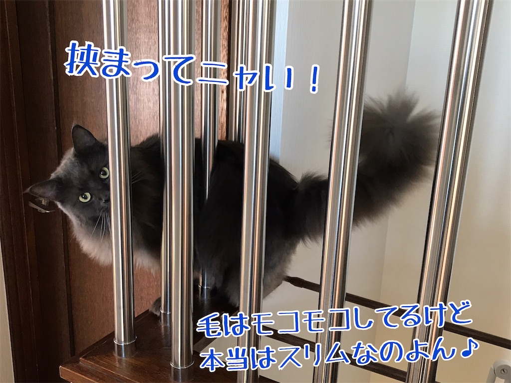 f:id:bellbelona39:20200818114222j:plain