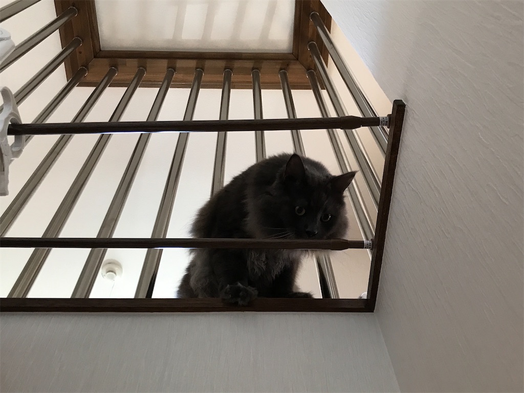 f:id:bellbelona39:20200818114646j:plain