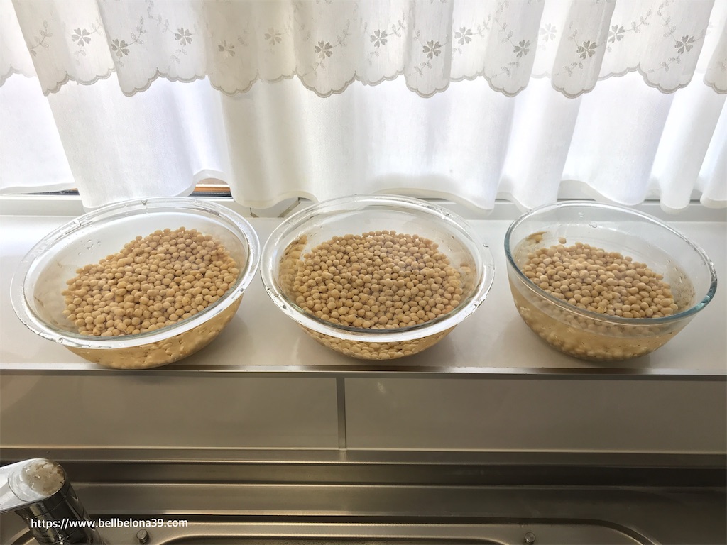 f:id:bellbelona39:20201027140340j:plain