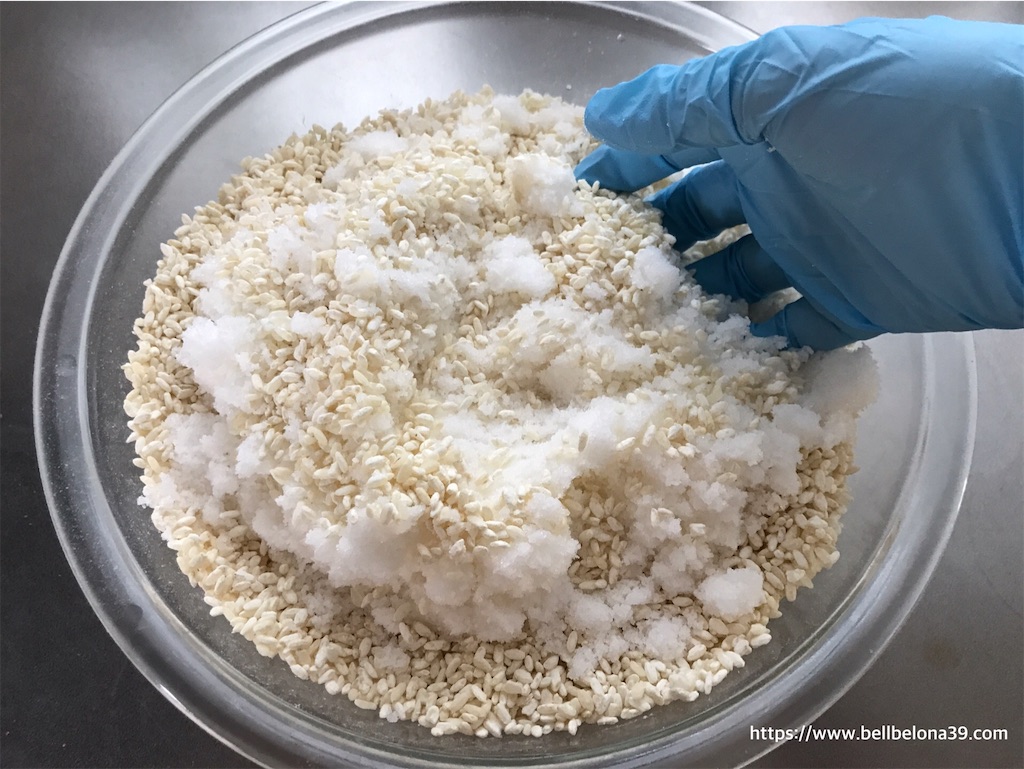 f:id:bellbelona39:20201027143422j:plain