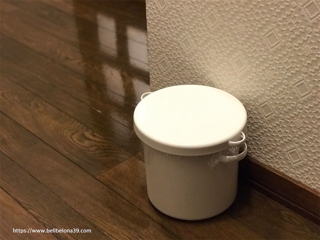 f:id:bellbelona39:20201027143650j:plain