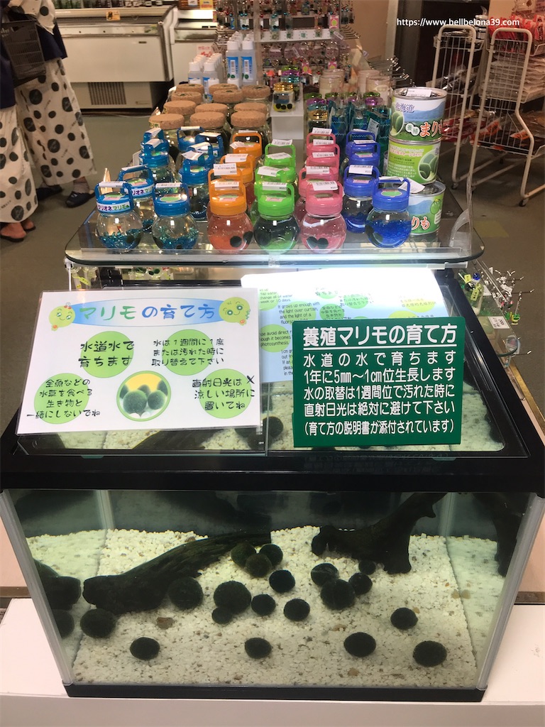 f:id:bellbelona39:20201112142858j:plain f:id:bellbelona39:20201112142858j:plain