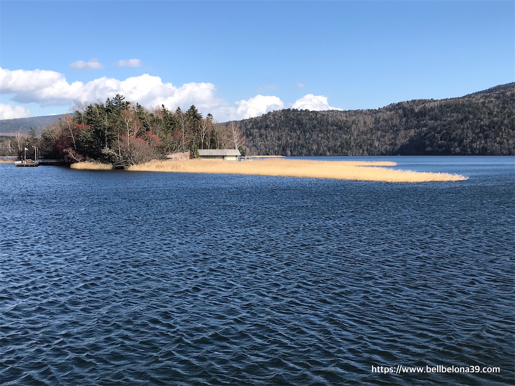 f:id:bellbelona39:20201112143151j:plain f:id:bellbelona39:20201112143151j:plain