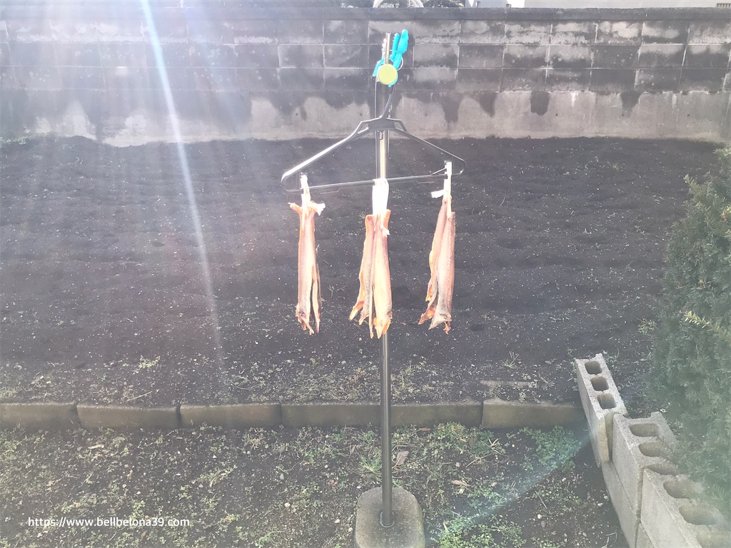 f:id:bellbelona39:20201123145051j:plain