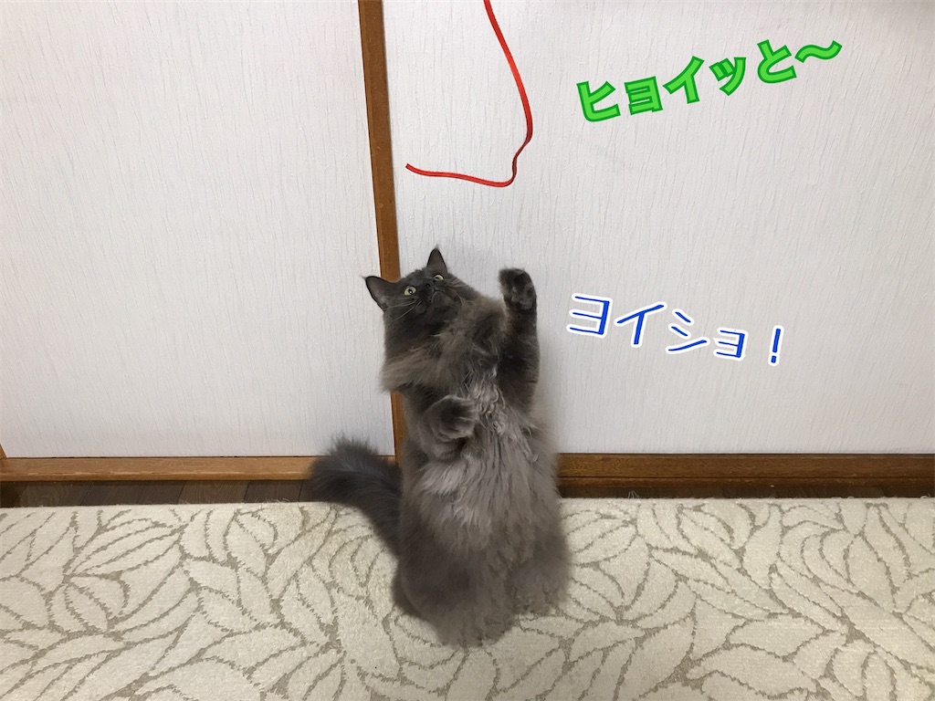 f:id:bellbelona39:20201222200257j:plain