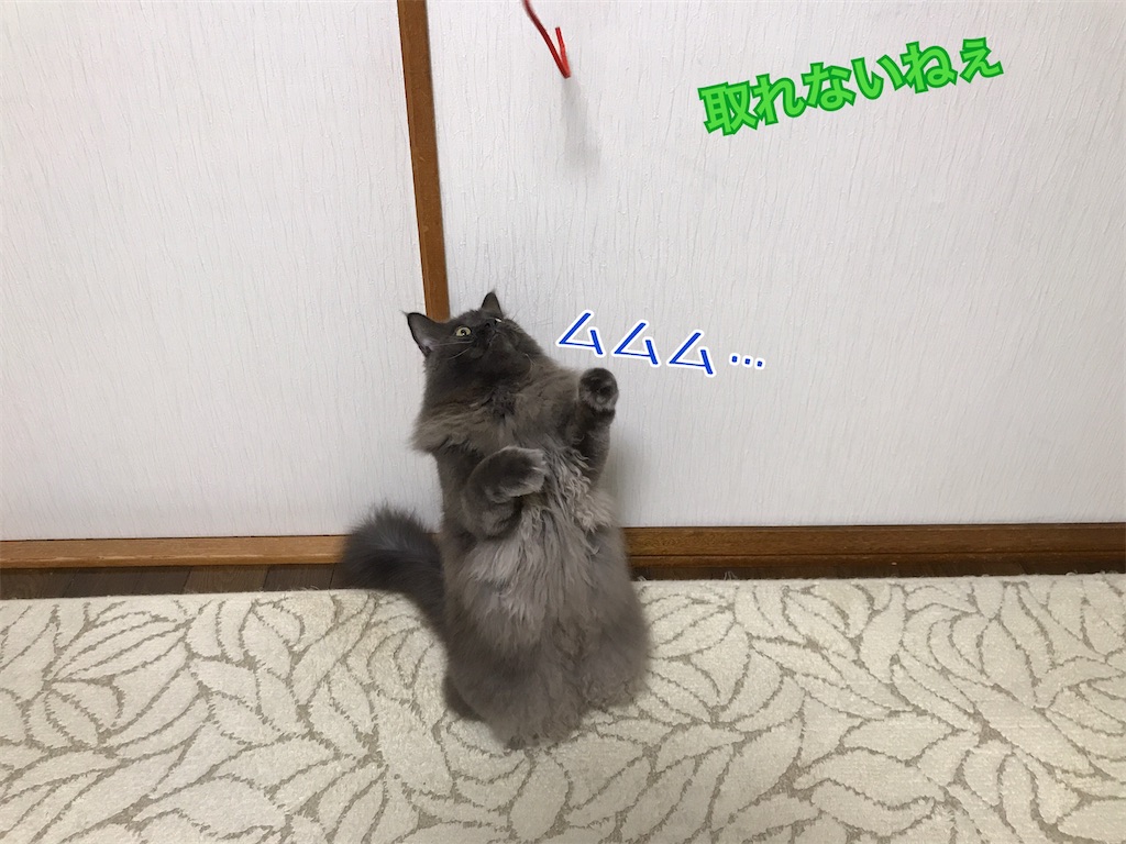 f:id:bellbelona39:20201222200308j:plain