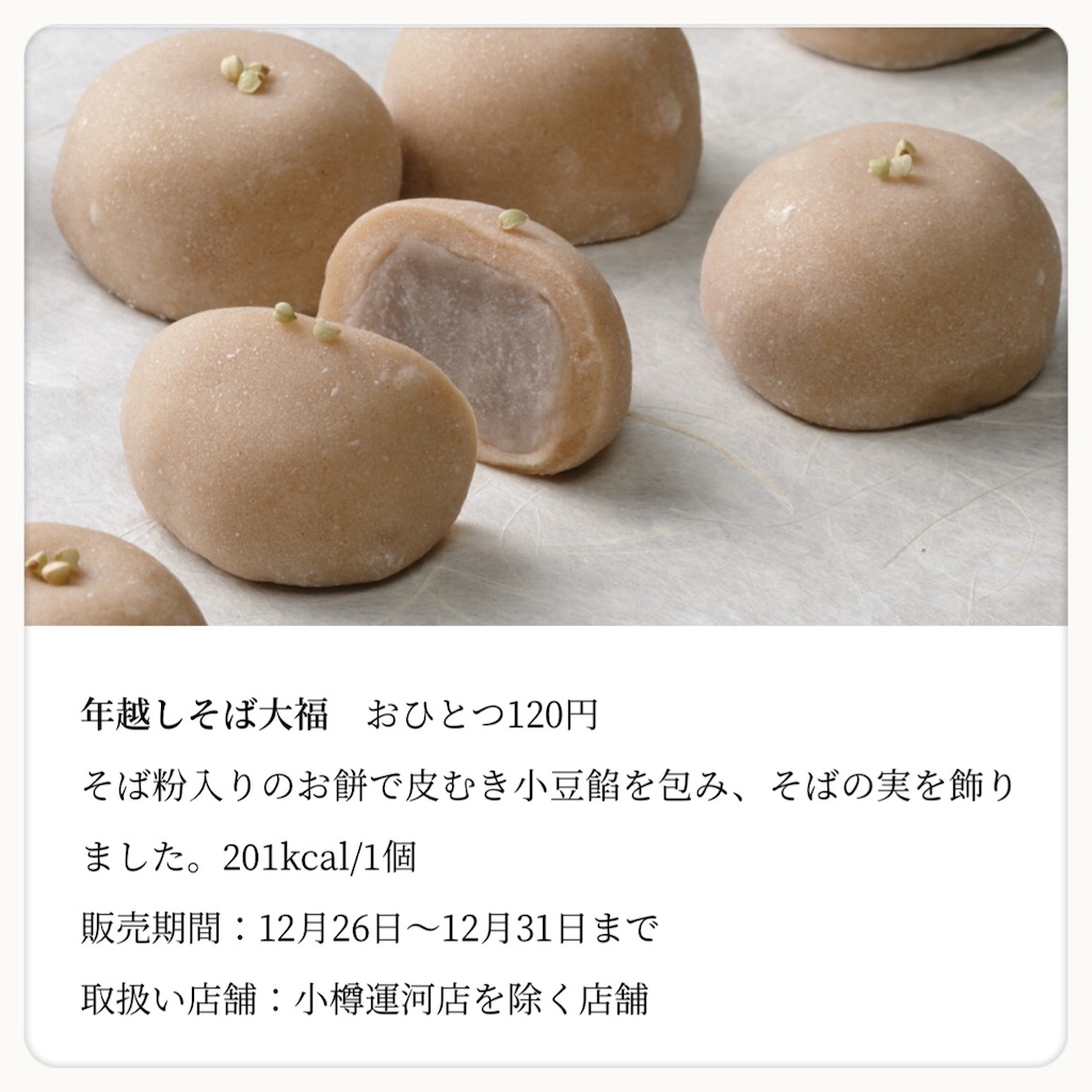 f:id:bellbelona39:20201227210404j:plain