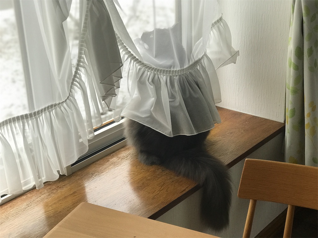 f:id:bellbelona39:20210119104522j:plain