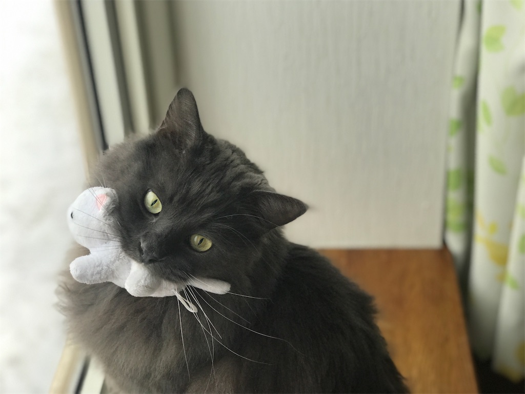 f:id:bellbelona39:20210119104531j:plain