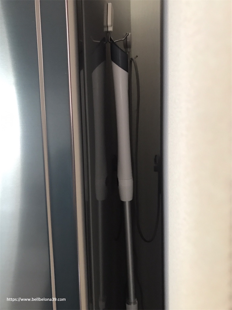 f:id:bellbelona39:20210205160008j:plain