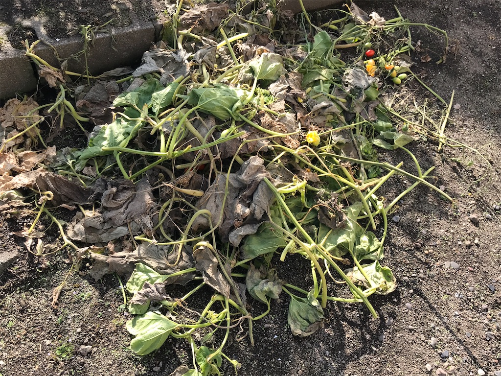 f:id:bellbelona39:20210819153154j:plain