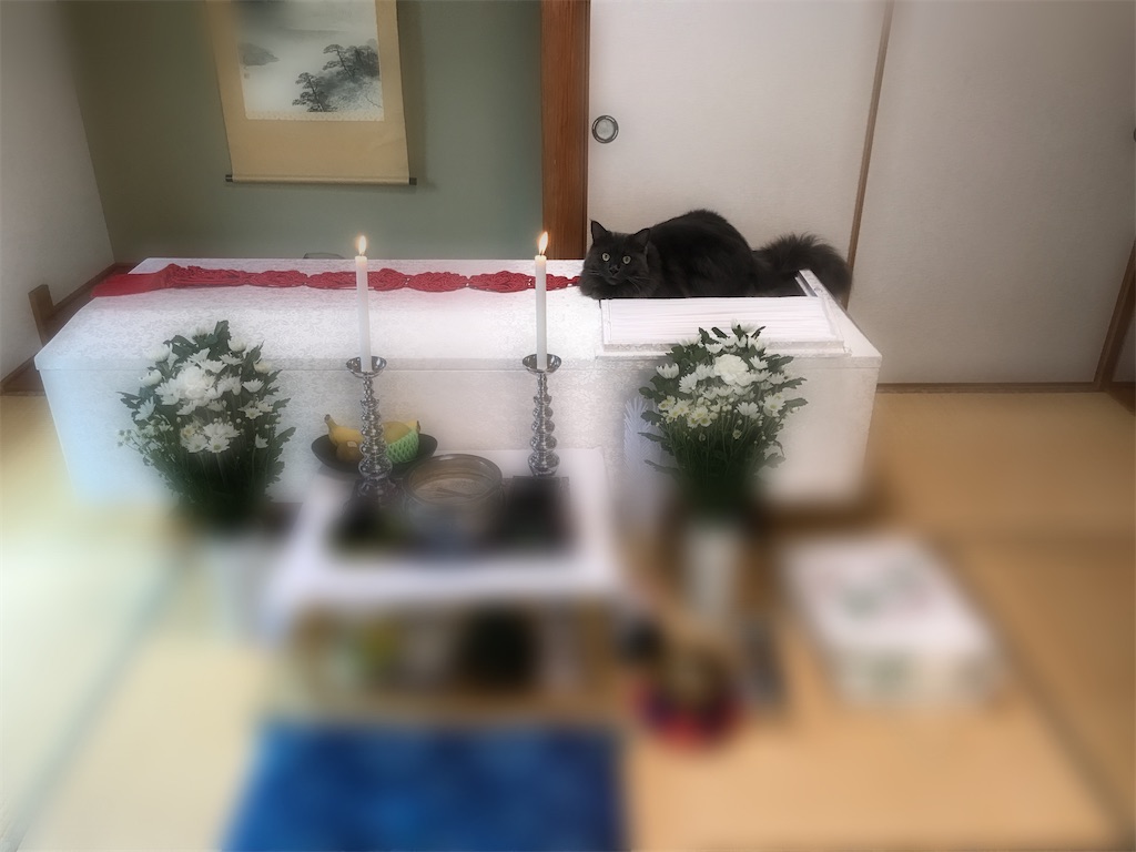 f:id:bellbelona39:20211116012103j:plain
