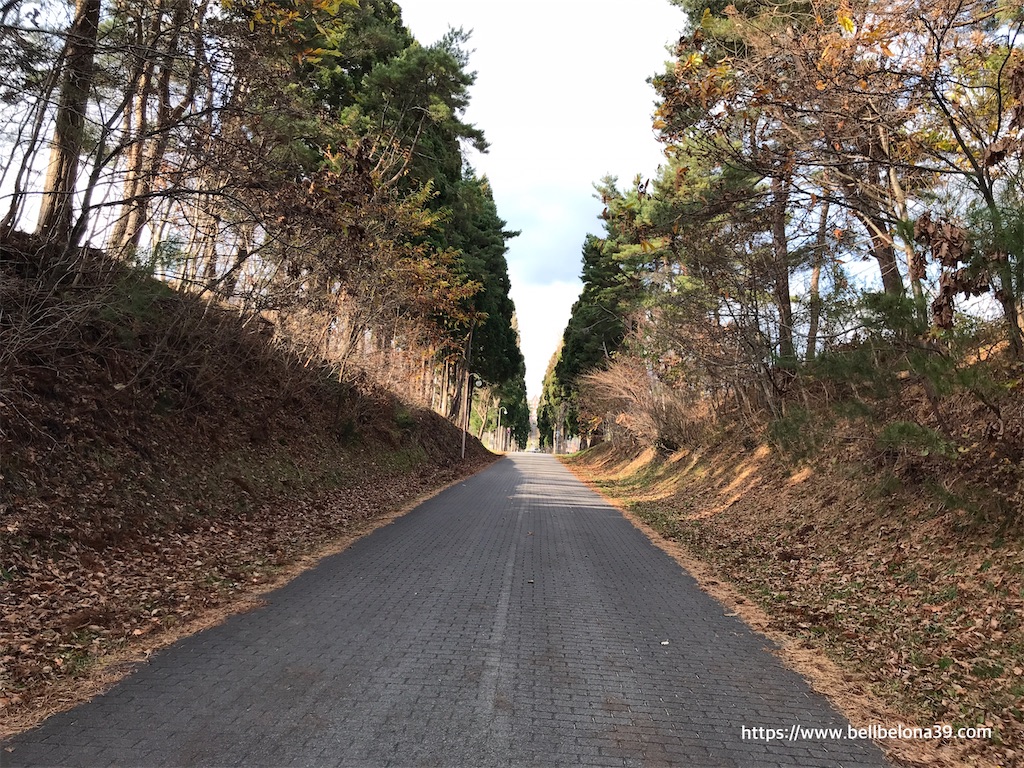 f:id:bellbelona39:20211123180639j:plain