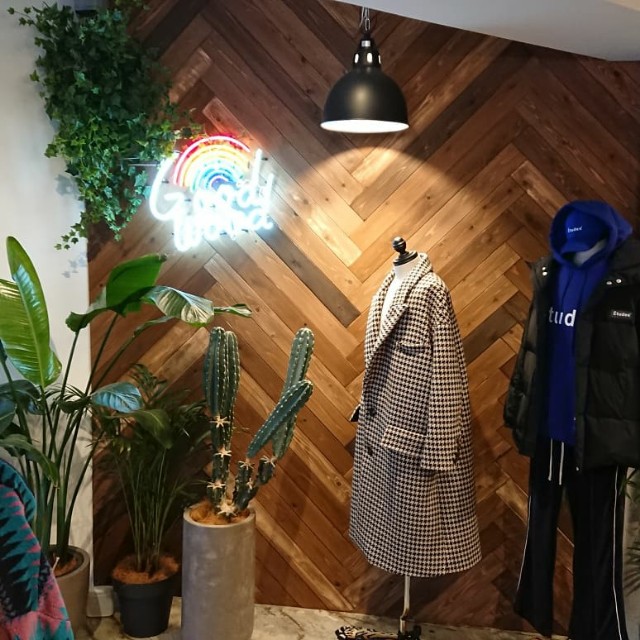 f:id:bellotomo:20191203224034j:plain