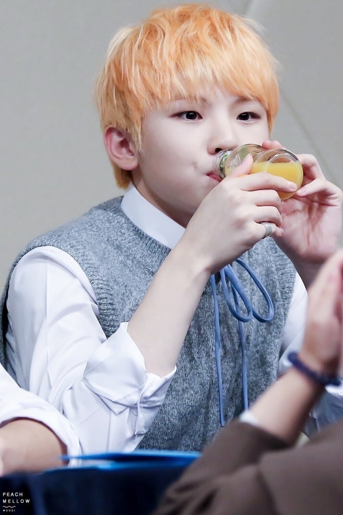 SEVENTEEN まとめ SEVENTEENのメンバー紹介がしたい！② - K-POPは大体食べる