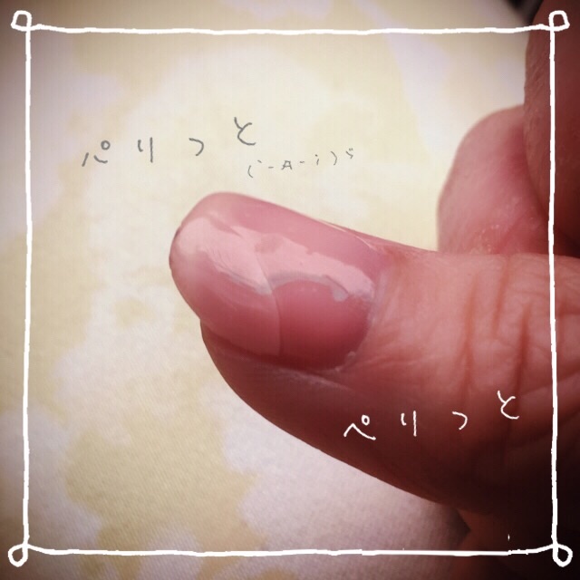 f:id:belly0628:20150621004808j:image f:id:belly0628:20150621004808j:image