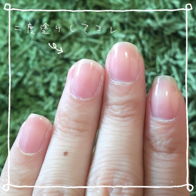 f:id:belly0628:20150621035848j:image f:id:belly0628:20150621035848j:image