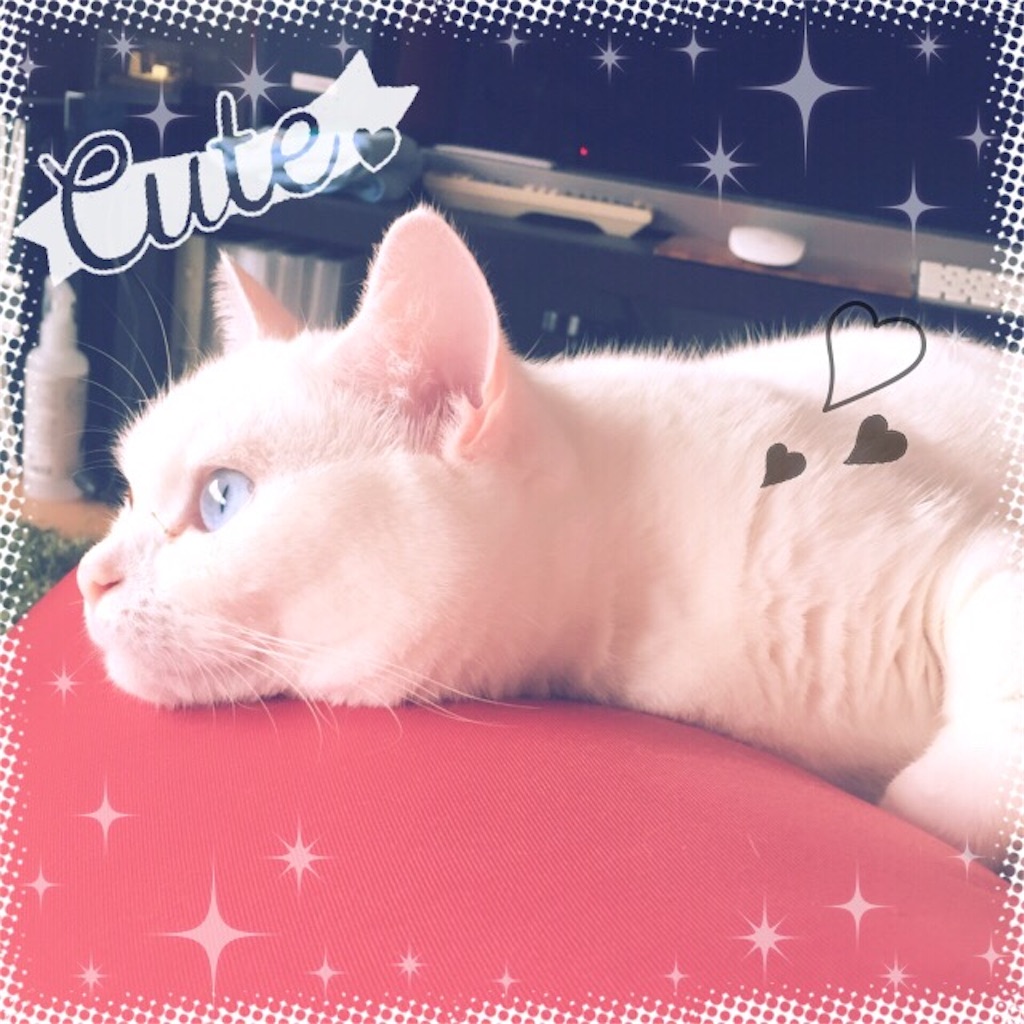 f:id:belly0628:20160731141103j:image f:id:belly0628:20160731141103j:image