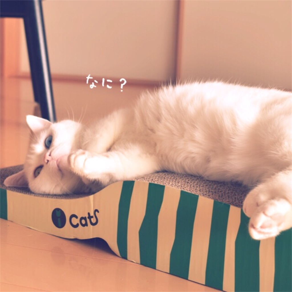 f:id:belly0628:20160904173248j:image f:id:belly0628:20160904173248j:image