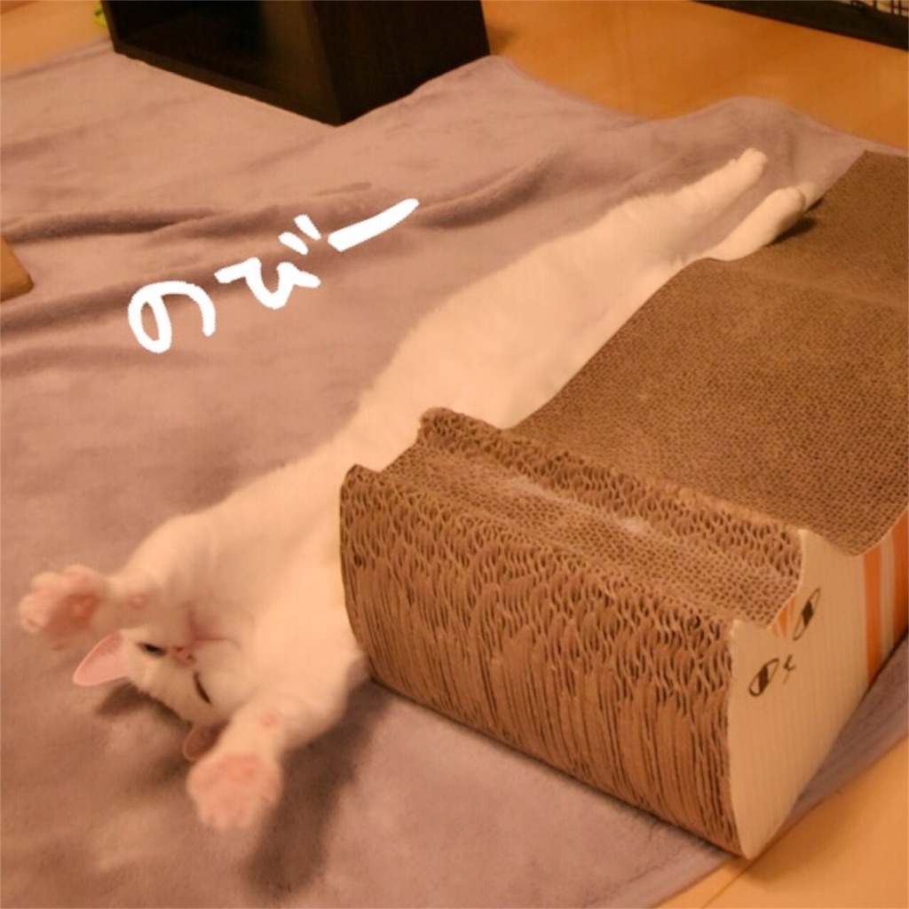 f:id:belly0628:20160913223603j:image f:id:belly0628:20160913223603j:image