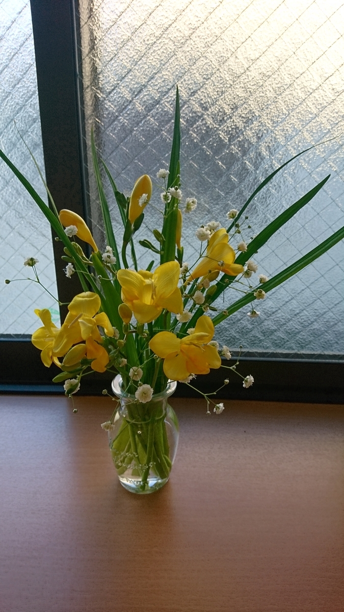 f:id:bellzou:20200202235116j:plain f:id:bellzou:20200202235116j:plain