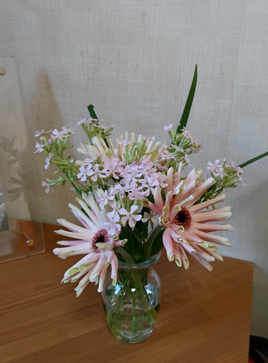 f:id:bellzou:20200405165015j:plain f:id:bellzou:20200405165015j:plain