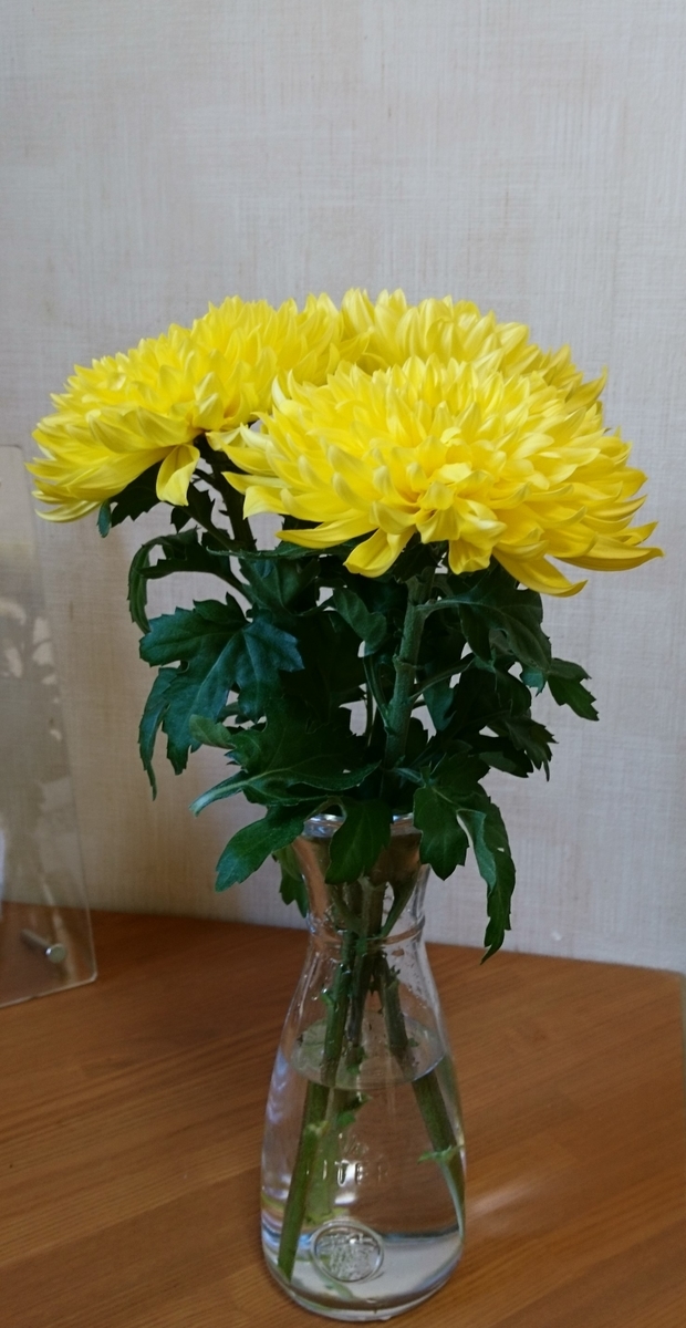f:id:bellzou:20200405165035j:plain f:id:bellzou:20200405165035j:plain