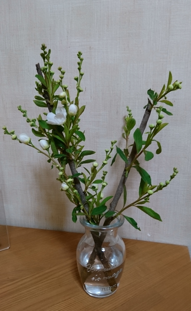 f:id:bellzou:20200419155103j:plain f:id:bellzou:20200419155103j:plain