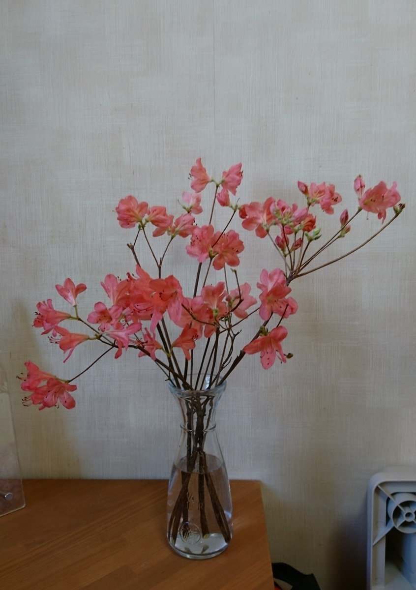 f:id:bellzou:20200504110819j:plain f:id:bellzou:20200504110819j:plain